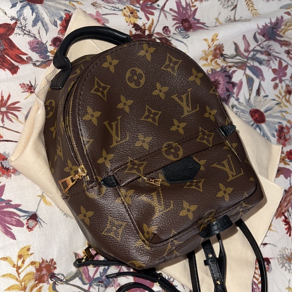 Louis Vuitton mini backpack